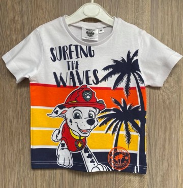 1809172349456142062820606575084071099006080n